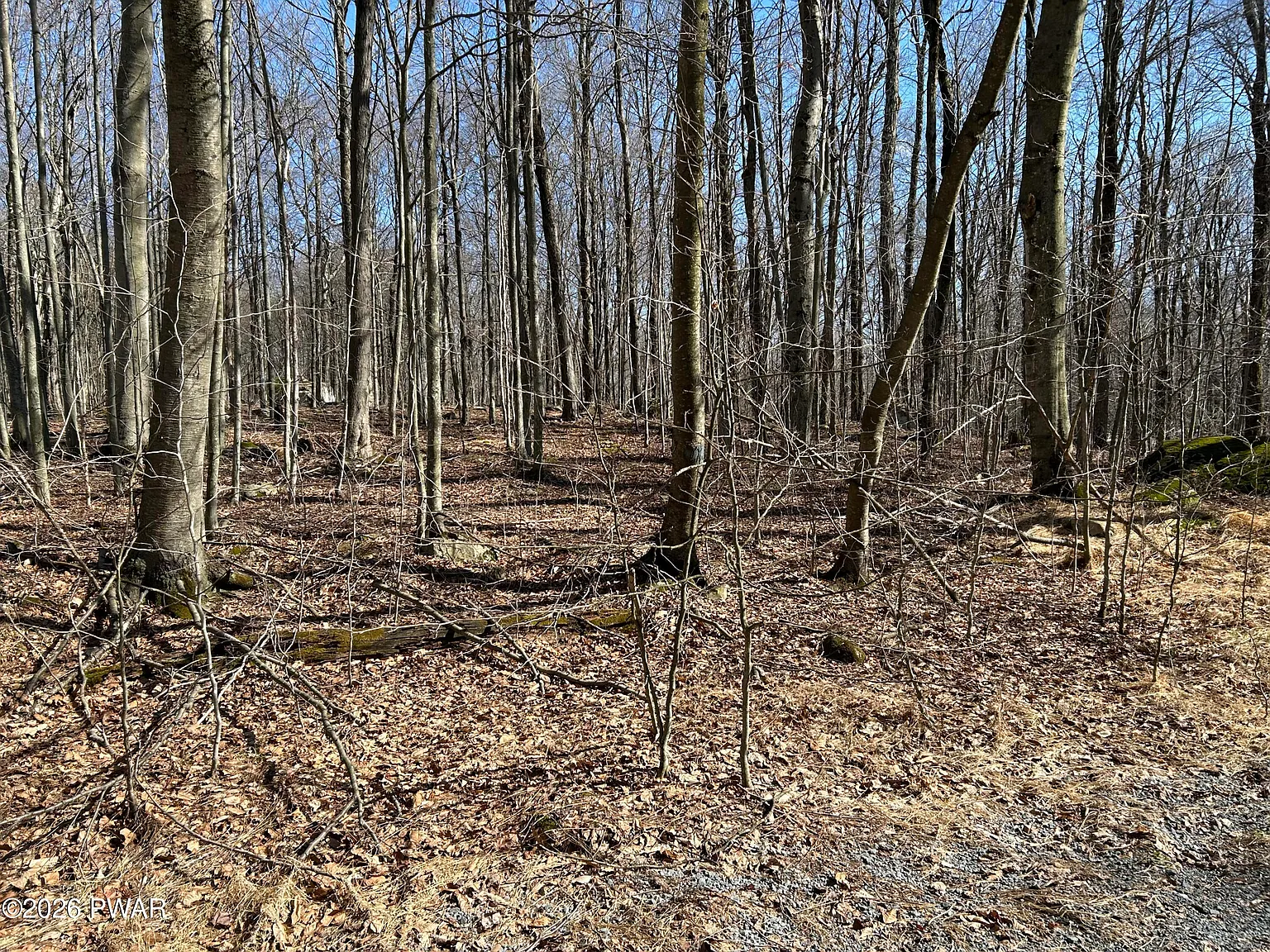LOT-2230R Saw Mill Rd photo 1