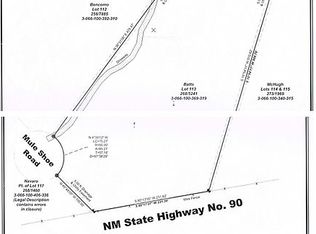 17 Gold Rush Rd, Hanover, NM 88041