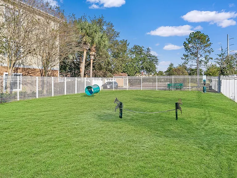 Dog Park