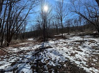 33 Maple Ave, Spencer, NY 14883