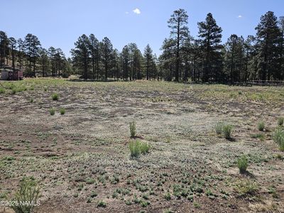 6668 Johnson Ranch Rd, Flagstaff, AZ, 86004