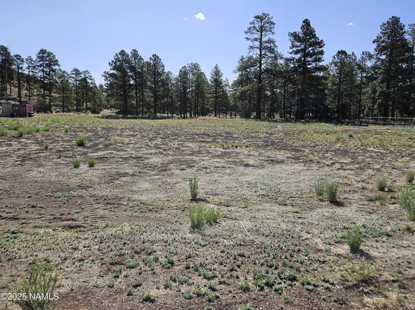 6668 Johnson Ranch Rd, Flagstaff, AZ 86004