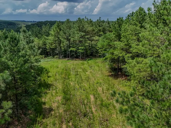 0 Big Opossum Rd Lot Wp001, Waynesboro, TN 38485