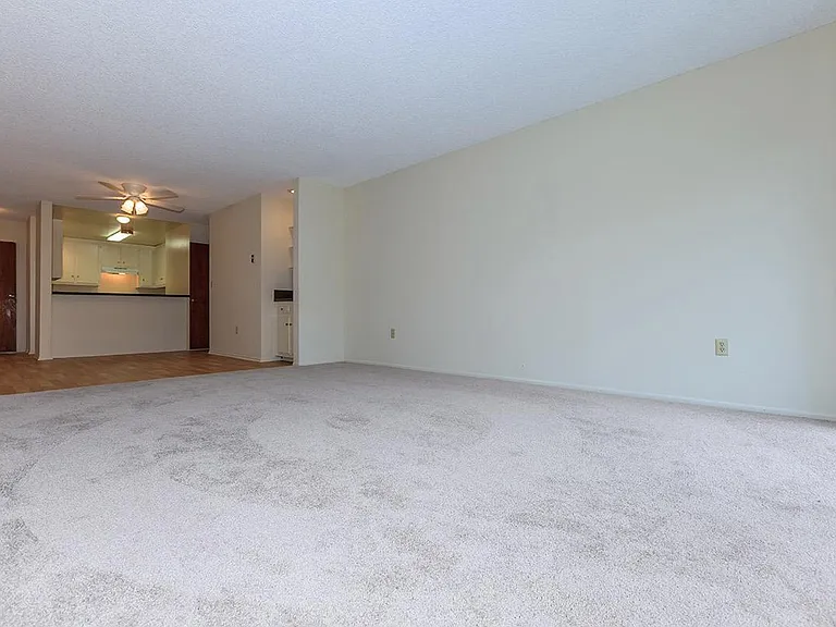 Riviera Vista Apartments — Photo 24