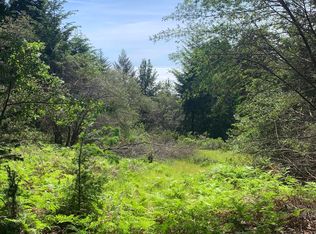 454 & 476 Forest Rd, Whitethorn, CA 95589