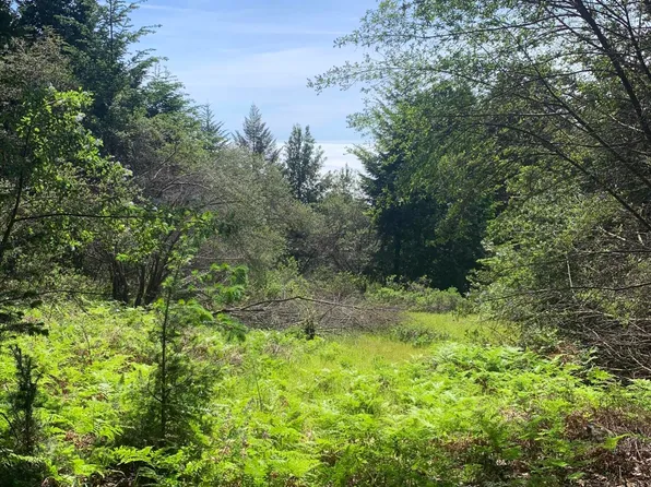 454 & 476 Forest Rd, Whitethorn, CA 95589