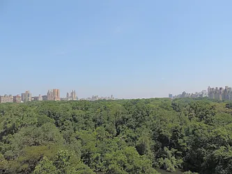 Rented by essential NEW YORK Real Estate
