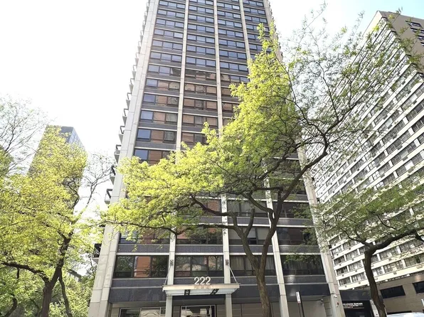 222 E Pearson St APT 1107, Chicago, IL 60611