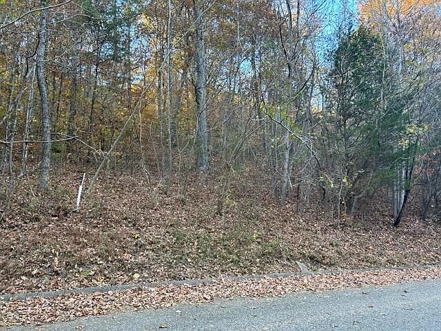 1st image of 0 Blue Sewanee Rd