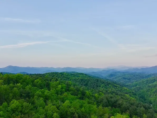 LOT 41 Black Maple Way, Del Rio, TN 37727