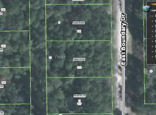 139 E Boundary Dr, Georgetown, FL 32139