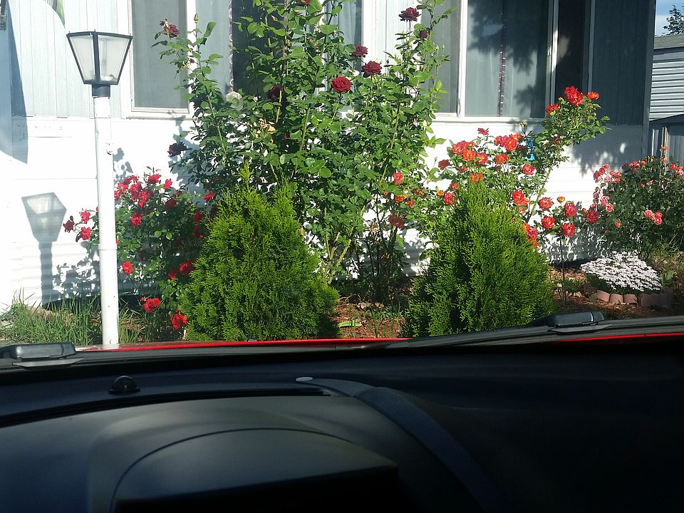 2nd image of 4304 Ahtanum Rd Unit 8