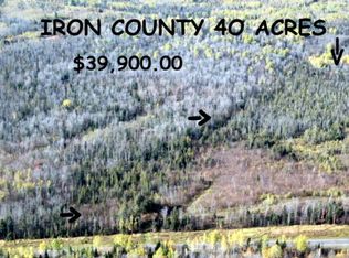 40 Acres Hwy #77, Iron Belt Wi, WI 54536