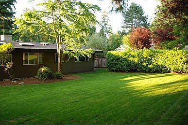 Fully-fenced Private Backyard