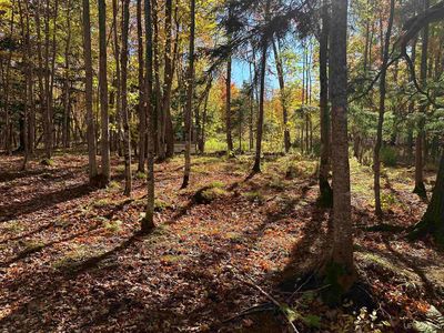 Remington Rd, Marquette, MI, 49855