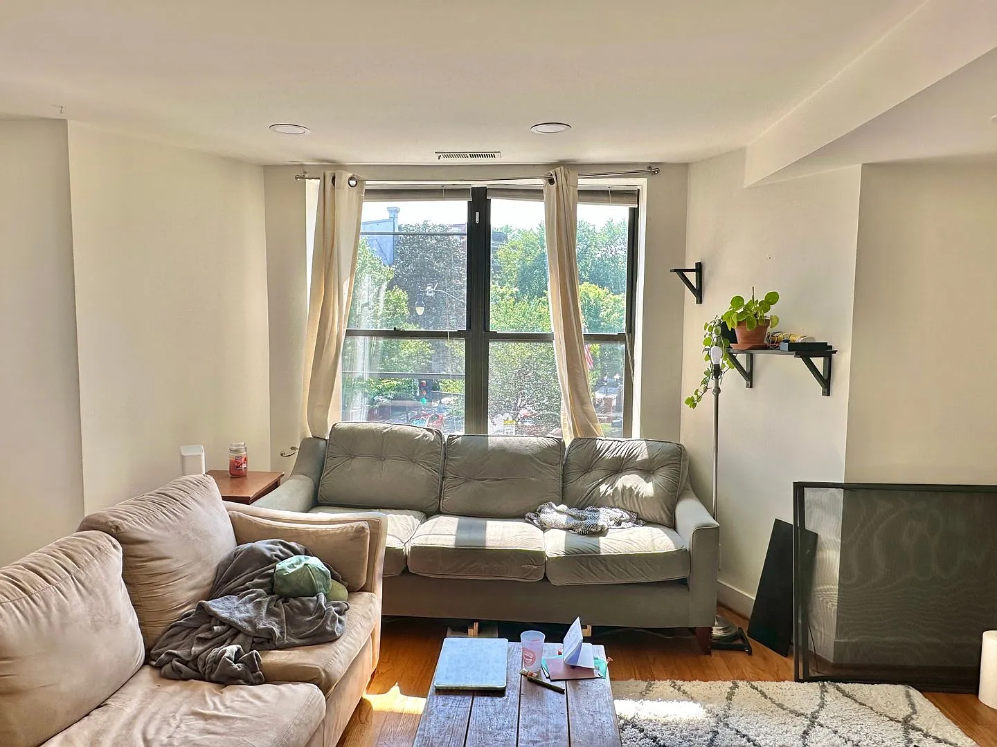 Fantastic Sunny 2 Bedroom In Adams Morgan with Fireplace and W/D! — Photo 3