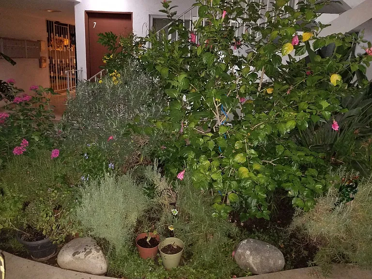 Comercio Ln — Photo 37