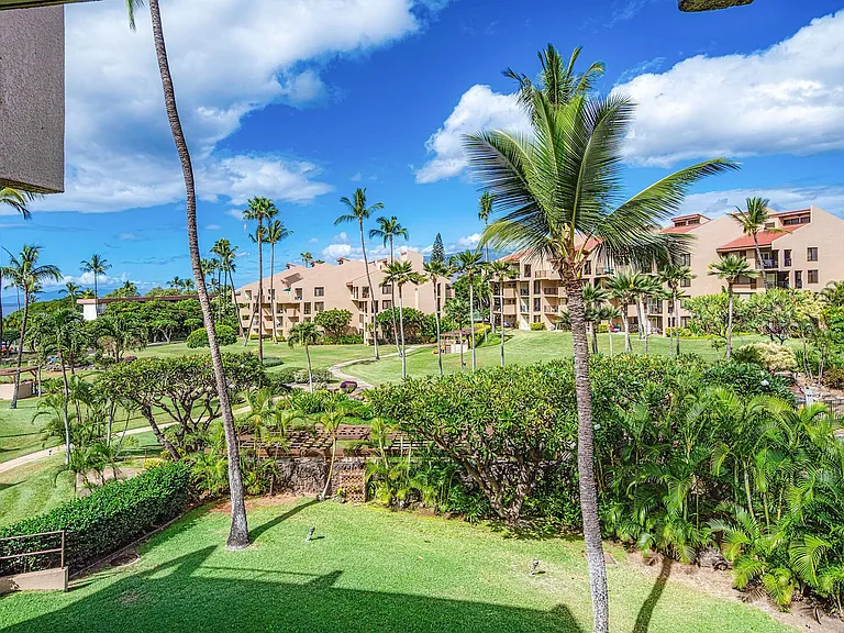 S Kihei Rd — Photo 6