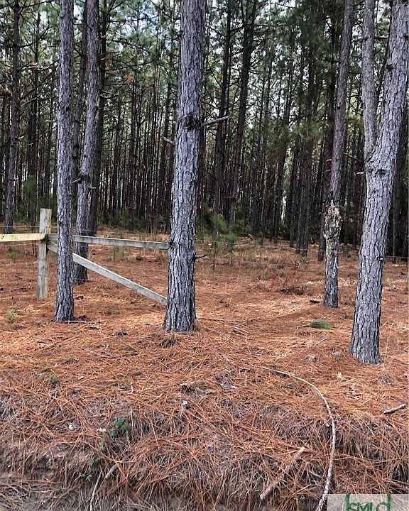 2nd image of 0 Sawmill Road
