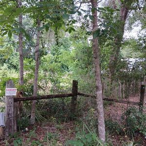 17151 NE 4th Ln, Silver Springs, FL, 34488