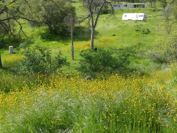 38477 Artesia Ln, Squaw Valley, CA 93675