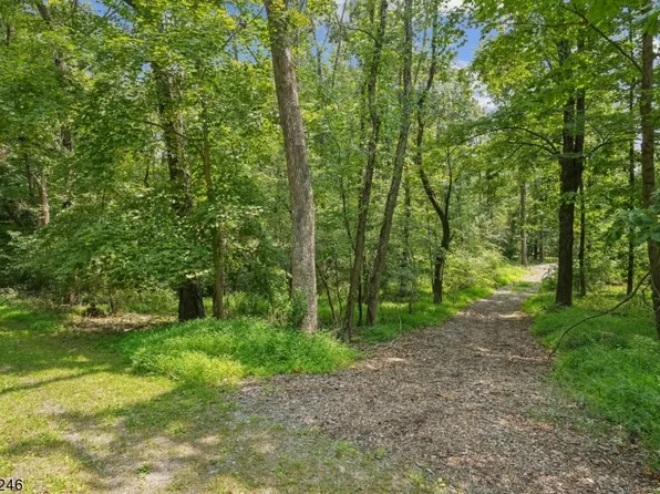 14 Forest Dr, Hampton Twp., NJ 07860