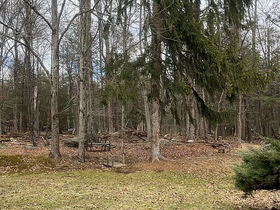 4th image of 35 Elizabeth Way