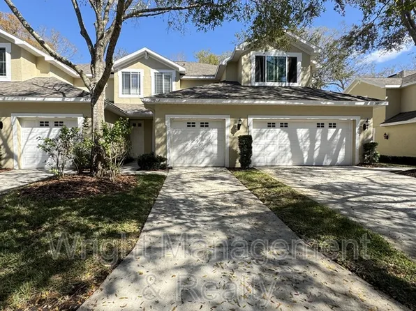 14923 Salamander Pl, Tampa, FL 33625