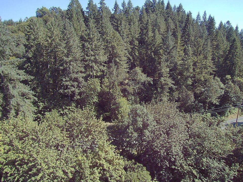 0 Tyee Rd, Umpqua, OR 97486 MLS 23286494 Zillow