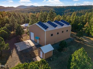 31 E COUNTY ROAD N2163 Drive, Nutrioso, AZ 85932
