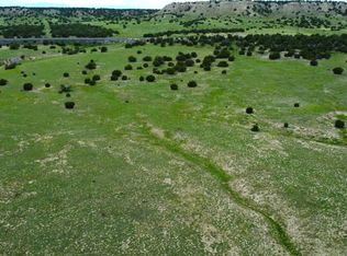 110 Locomotive Ct, Rye, CO 81069