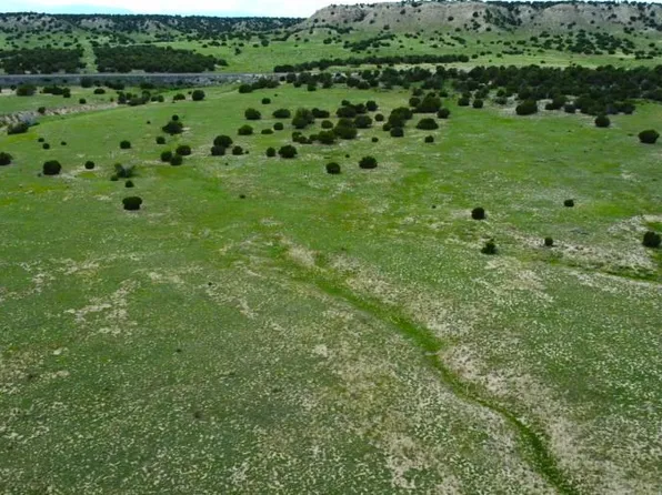 110 Locomotive Ct, Rye, CO 81069