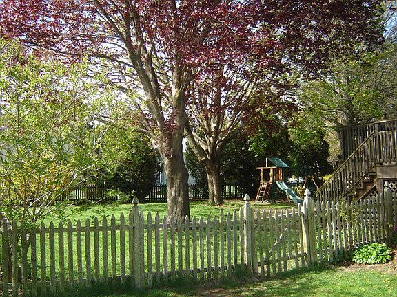Fenced back yard