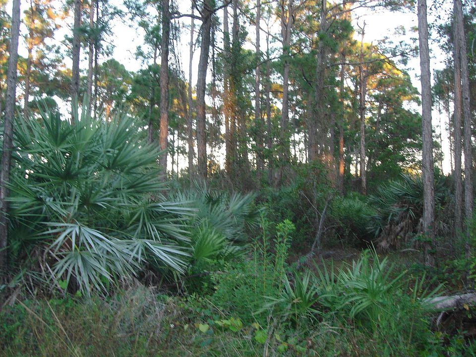 2nd image of Tbd Southwind Trail