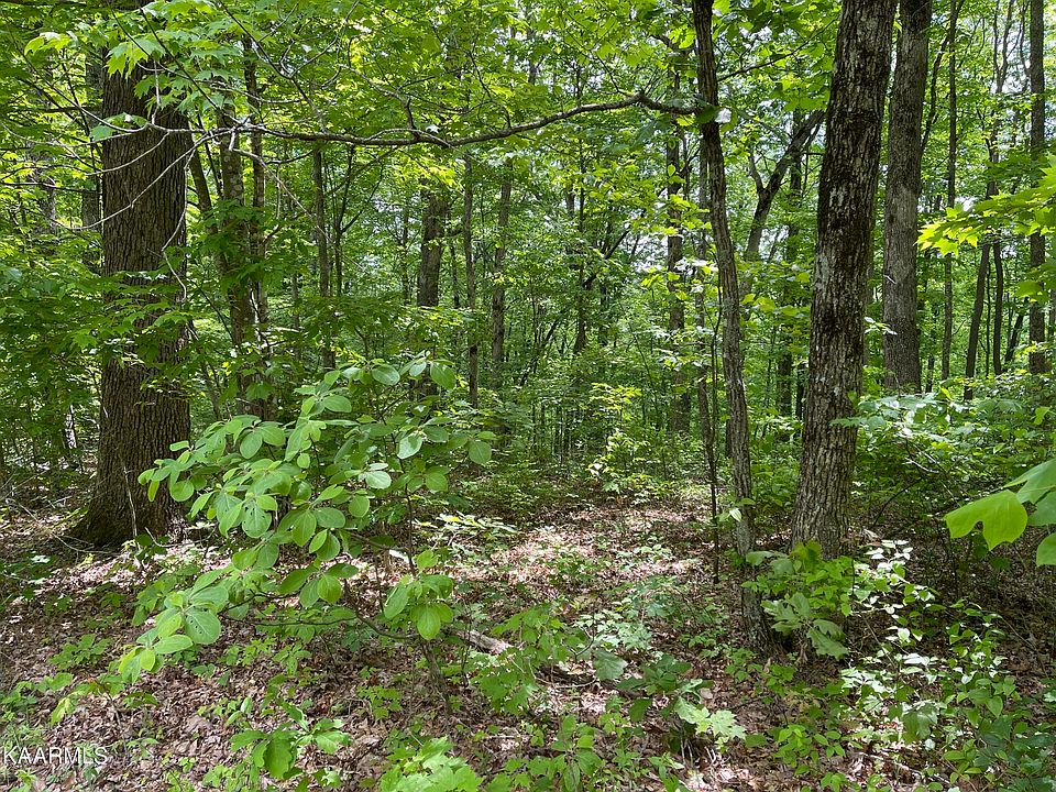 2nd image of E Cove Rd #4