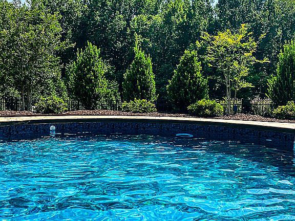 Preserved land behind pool