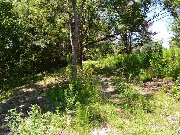 Moulton AL Land & Lots For Sale - 47 Listings | Zillow