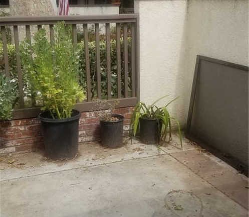 3rd image of 24779 Sand Wedge Ln