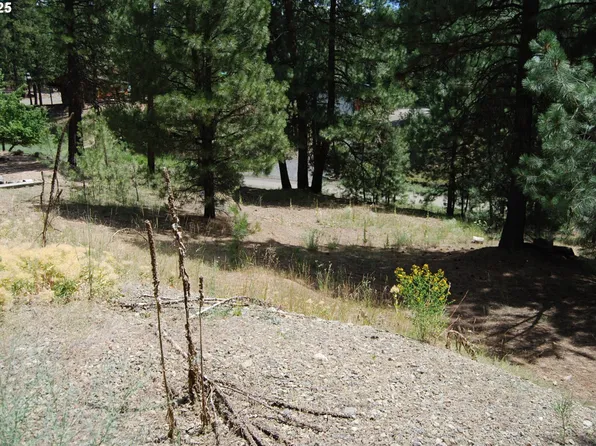 554 N Bonanza St, Sumpter, OR 97877