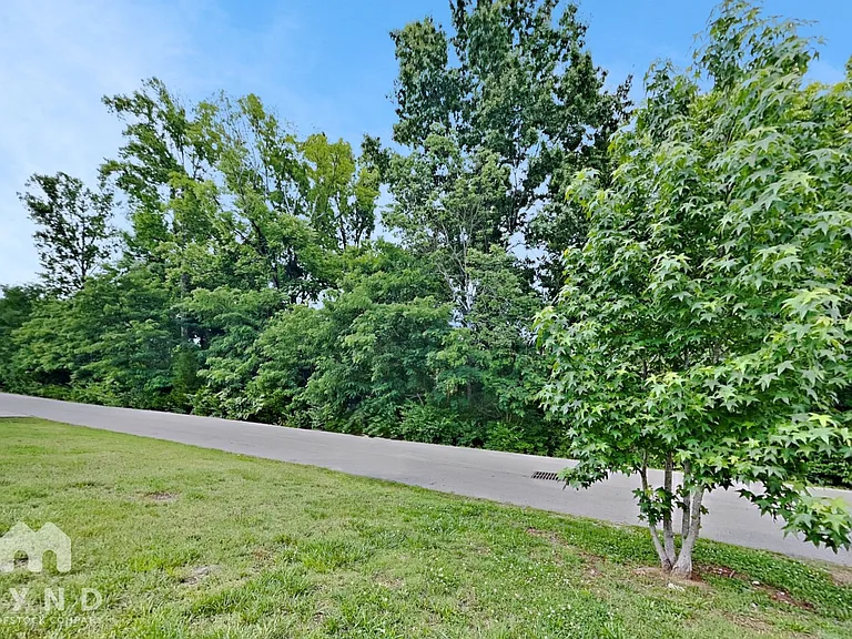 2233 Dale View Dr — Photo 20
