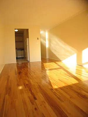 Rented by Manhattan Flats | media 44