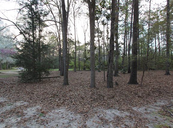 3rd image of 131 Ole Taylor Pl