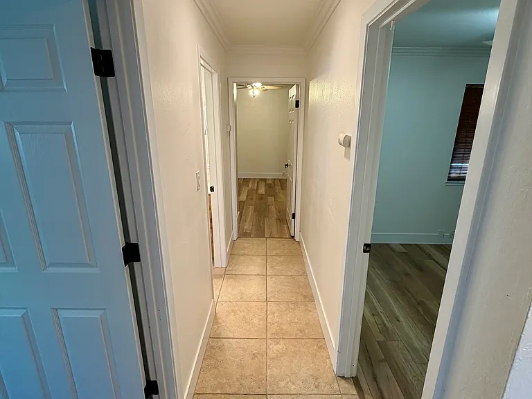 3681 Shenandoah Ct — Photo 3