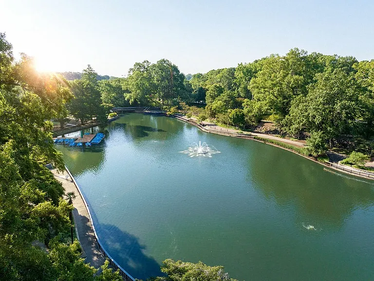 Raleigh Local Area