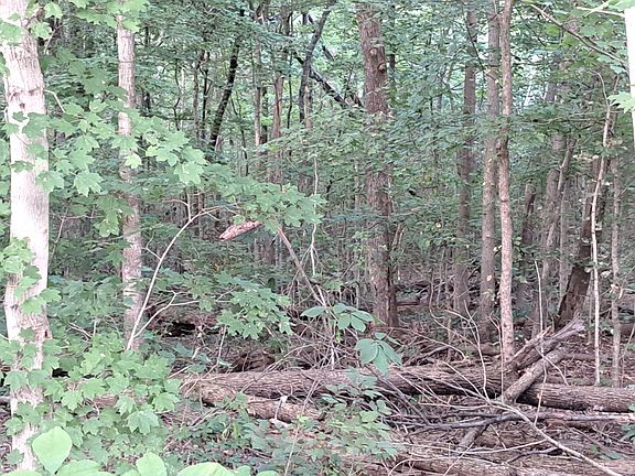 4th image of 3952 & 4013 Devils Fork Rd