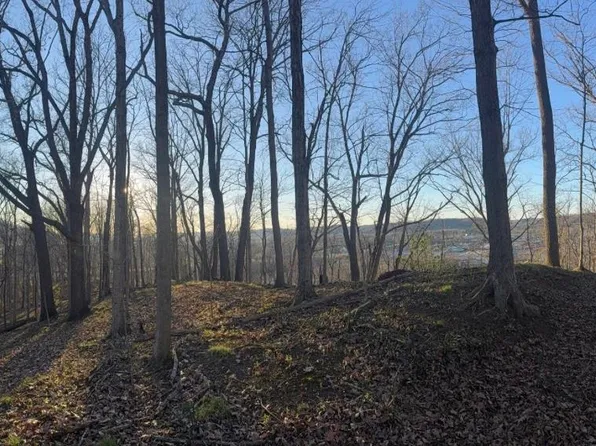 0 Harvey Rd, Huntington, WV 25701