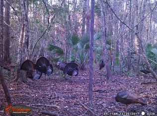 Clayton Rd, Cedar Key, FL 32625