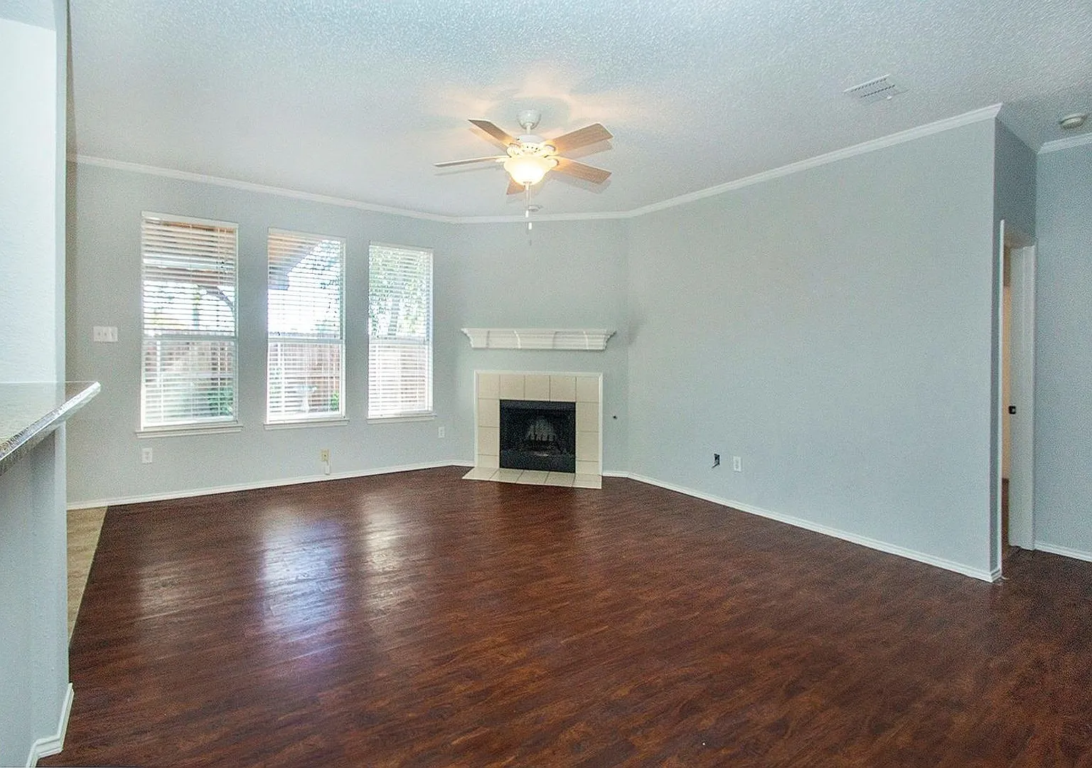 A must see 1.5 story home in Allen! — Photo 4