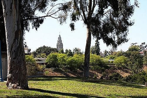 Walking distance to Balboa Park, the San Diego Zoo, the Thursday Farmers' Market, a tucked away dog park with trails, community tennis courts, pool, golf course, archery range, frisbee golf, & velodrome.