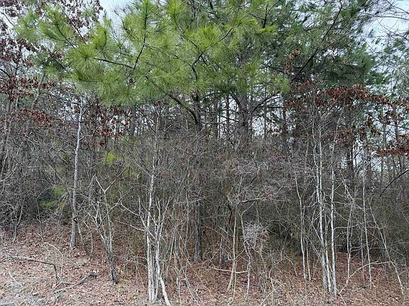 4th image of 3 Pyburn Dr